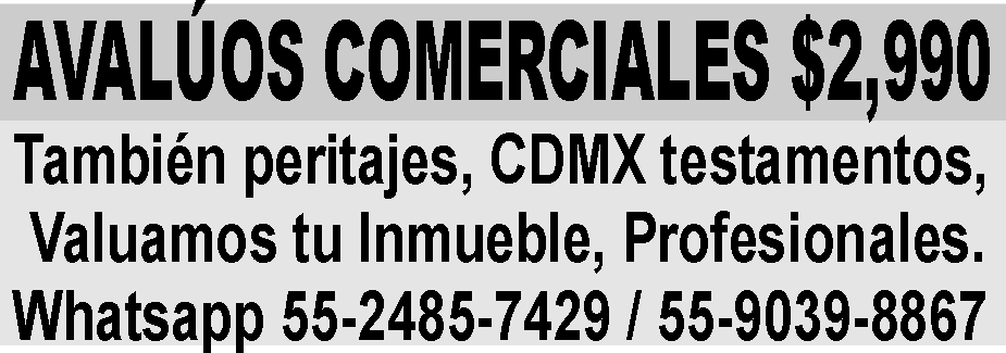 AVAL&UACUTE;OS COMERCIALES $2