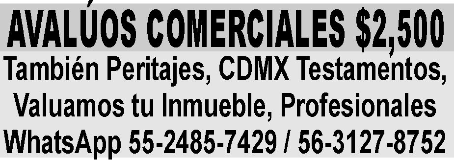 &NBSP;AVAL&UACUTE;OS COMERCIALES $2