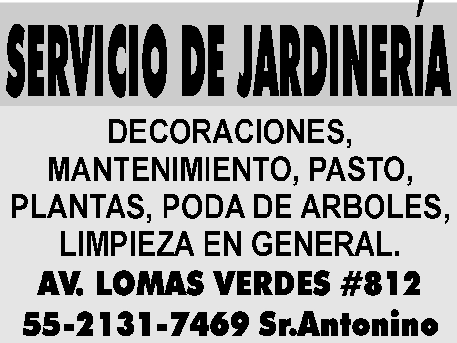 SERVICIO DE JARDINER&IACUTE;A

DECORACIONES