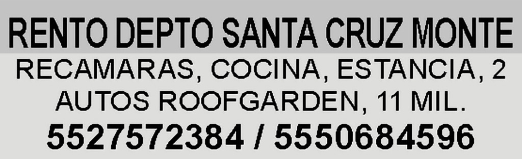 RENTO DEPTO SANTA