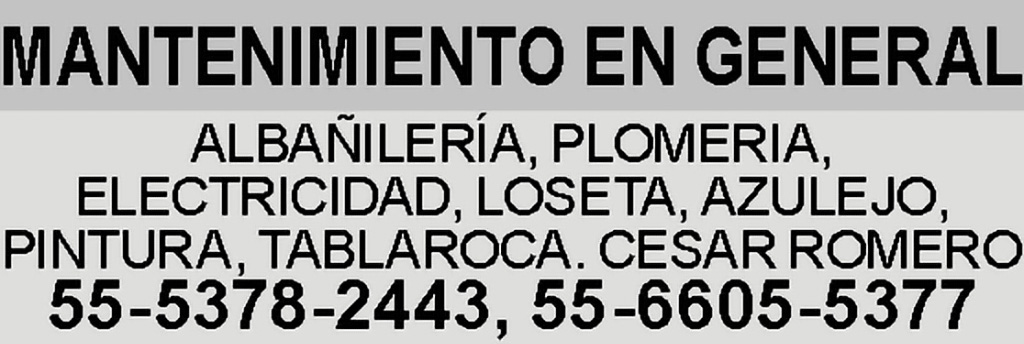 MANTENIMIENTO EN GENERALALBA?ILER?A