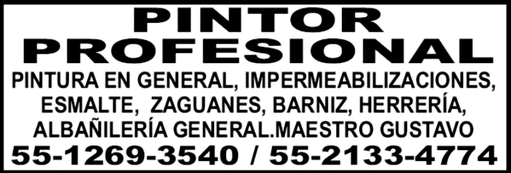 PINTOR PROFESIONALPINTURA EN