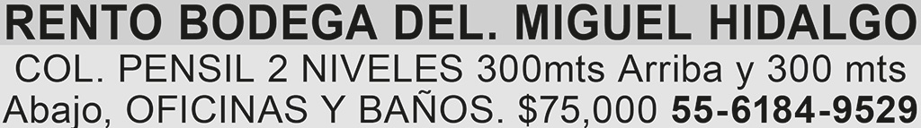 RENTO BODEGADEL. MIGUEL