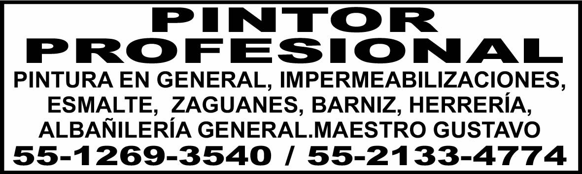 PINTOR PROFESIONALPINTURA EN