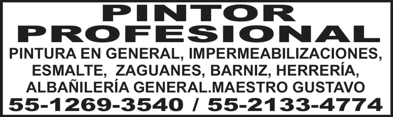PINTOR PROFESIONALPINTURA EN