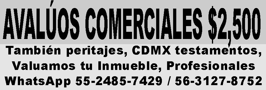 &NBSP;AVAL&UACUTE;OS COMERCIALES $2