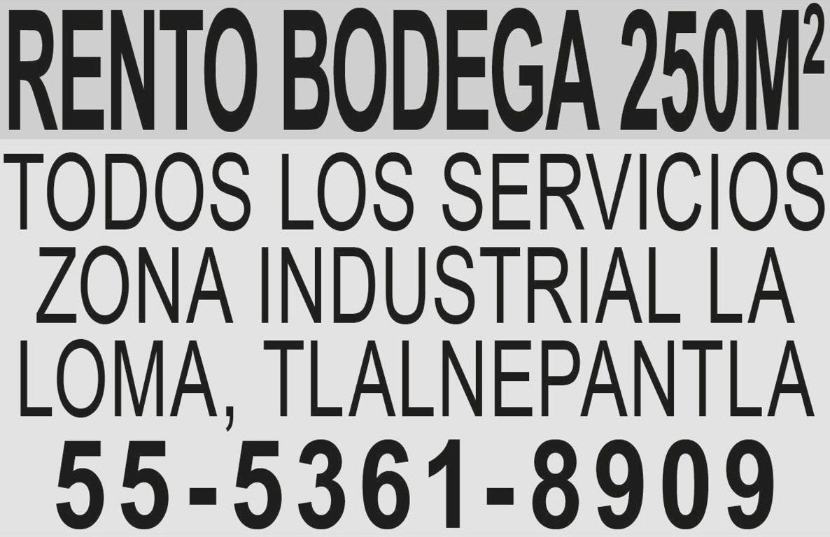 RENTO BODEGA 250M2TODOS
