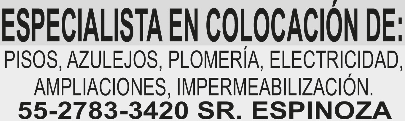 ESPECIALISTA EN COLOCACI?N