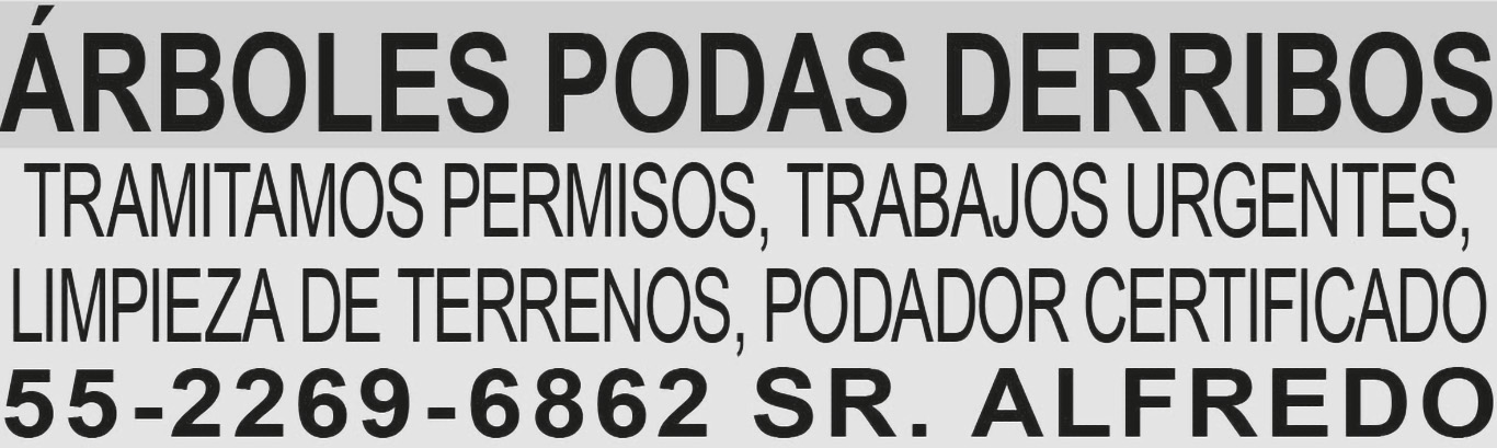 ARBOLES PODAS?DERRIBOSTRAMITAMOS PERMISOS