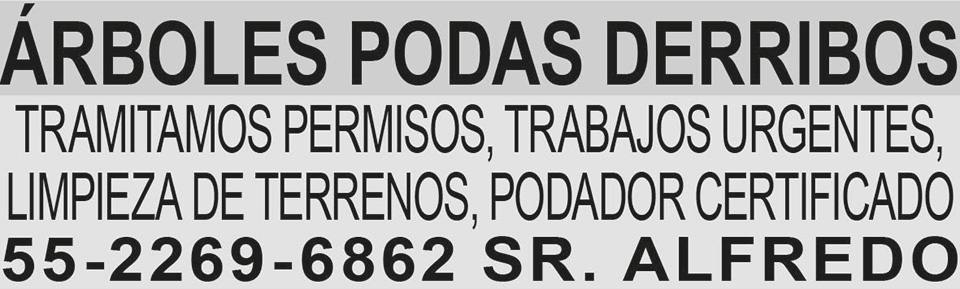 ARBOLES PODAS?DERRIBOSTRAMITAMOS PERMISOS