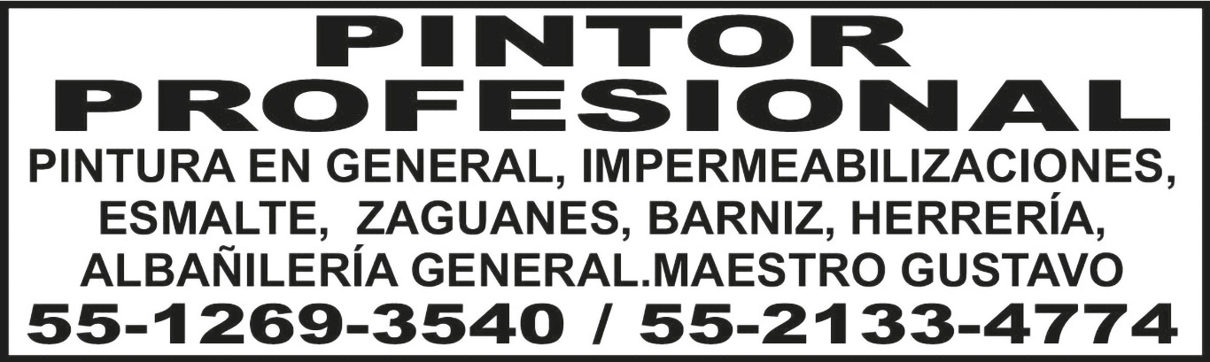 PINTOR PROFESIONALPINTURA EN