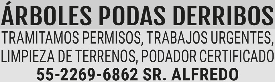 ARBOLES PODAS?DERRIBOSTRAMITAMOS PERMISOS