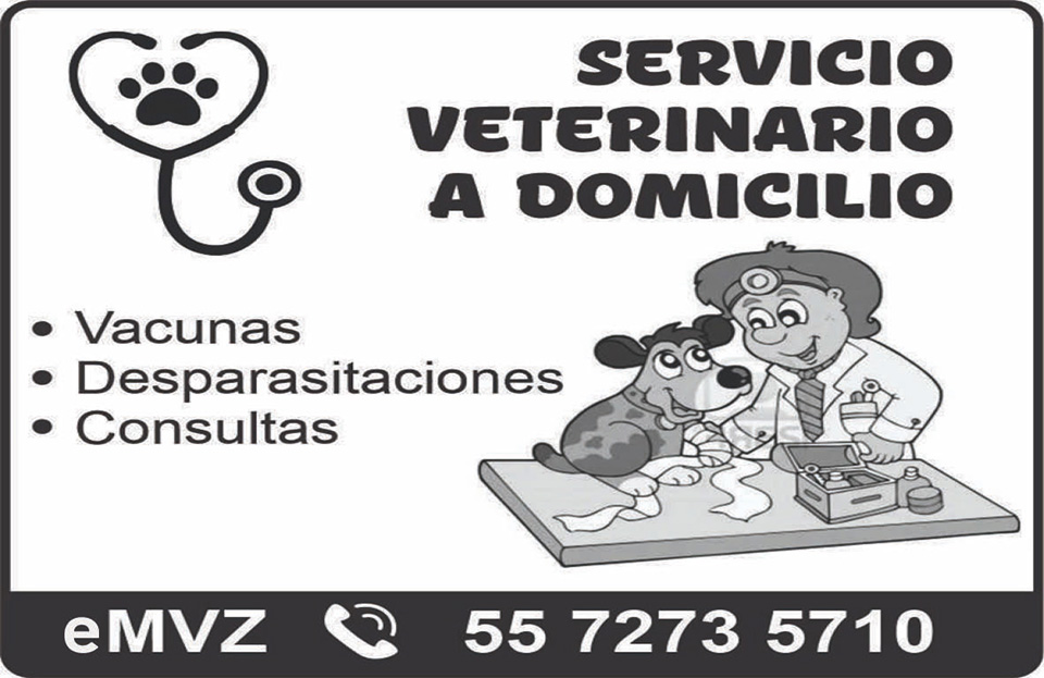 SERVICIO VETERINARIO A