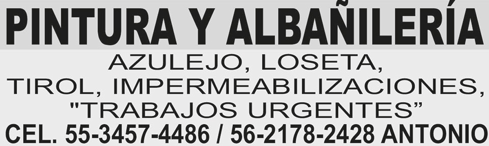 PINTURA Y ALBA?ILER?AAZULEJO